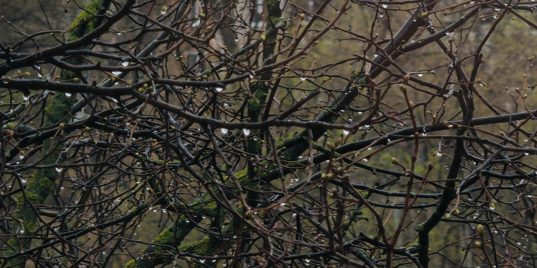 Циклон «Ксимена» уходи: когда закончатся холод и дожди в Тульской области?