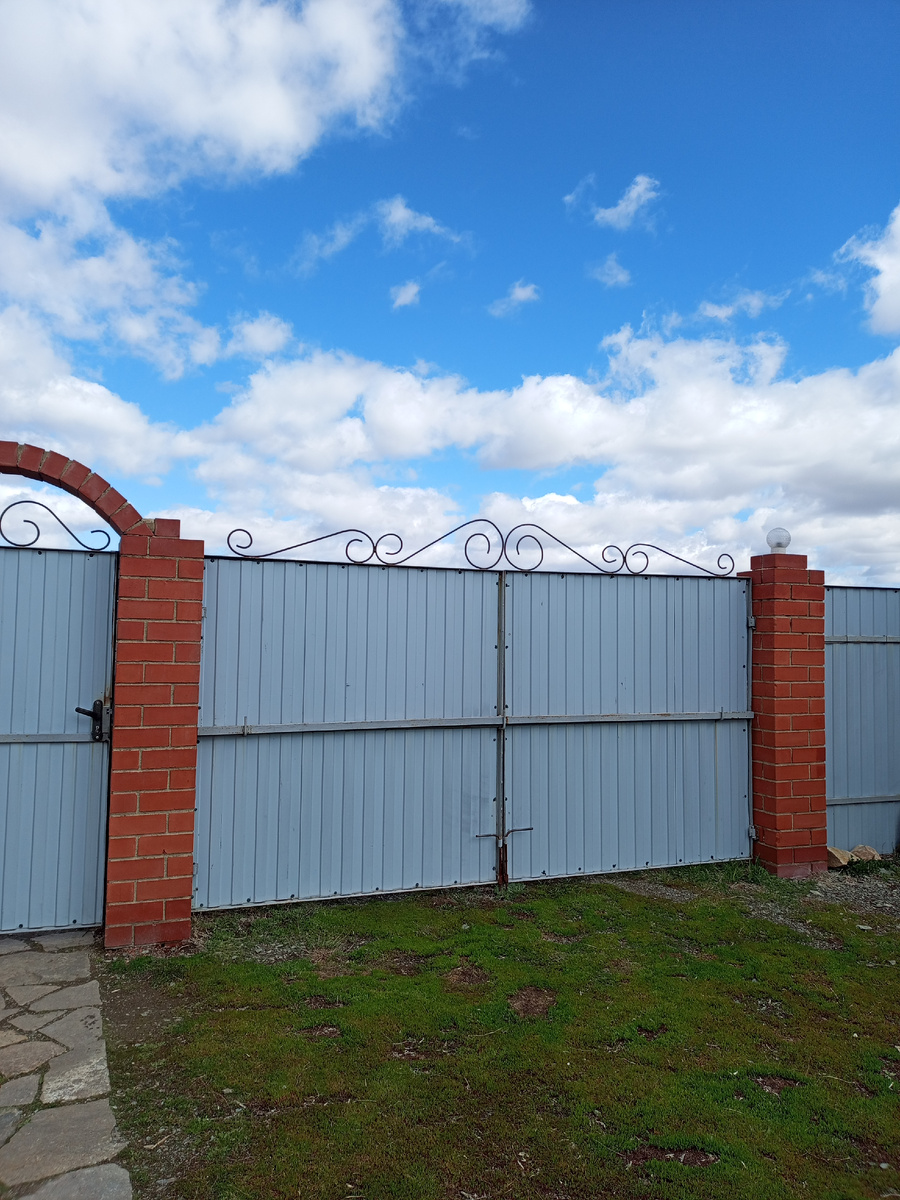 Облака - белогривые лошадки...