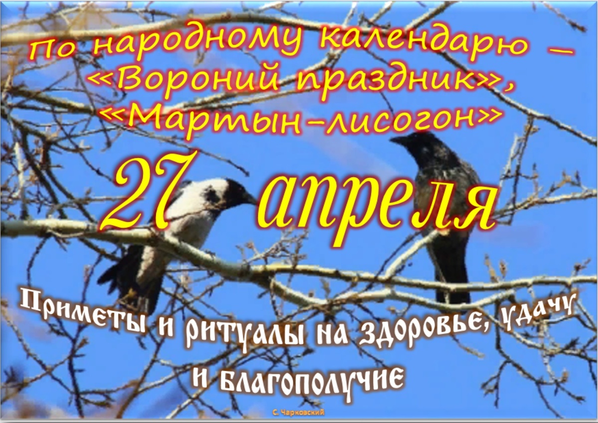 Встречаем новый день