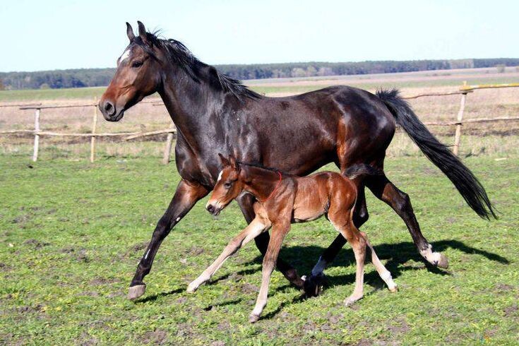 Лора и Рита!