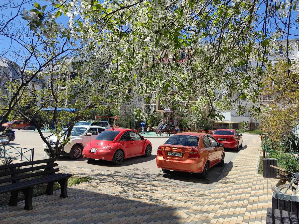У подьезда. Фото автора канала