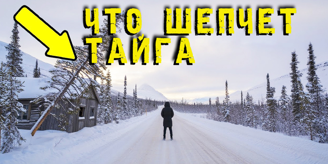 Пропавший в тайге оставил весточку, которую нашли спустя годы. Таежная история.