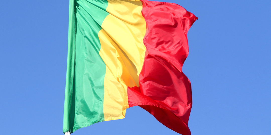 Министр обороны Мали погиб от рук радикальных исламистов