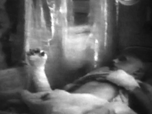 40 лет назад произошла авария на Чернобыльской АЭС