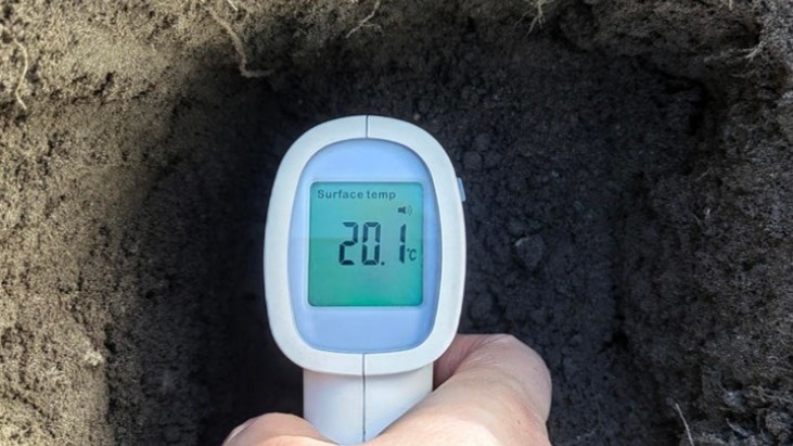 Пять минут ожидания, и всё ясно.