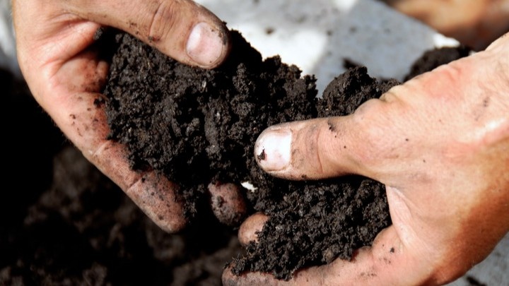 Вот такой ком и нужен. Держится, но не мажется. Значит, влажность в норме