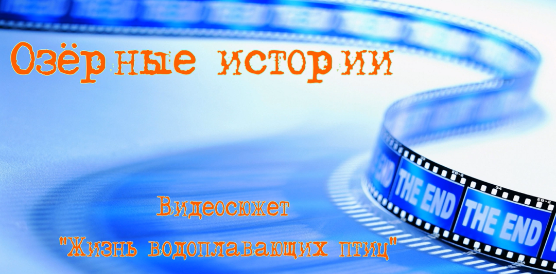 Анонс к видеосюжету!