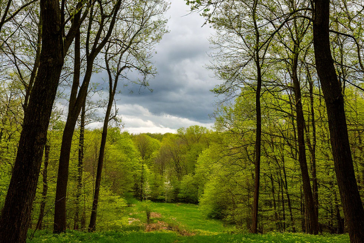 Ветер валит с ног: татарстанцев предупреждают о резком ухудшении погоды