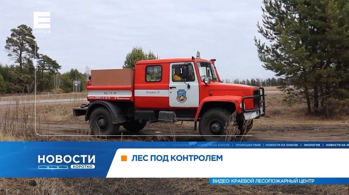     В лесах на юге Красноярского края усиливает мониторинг из-за потепления