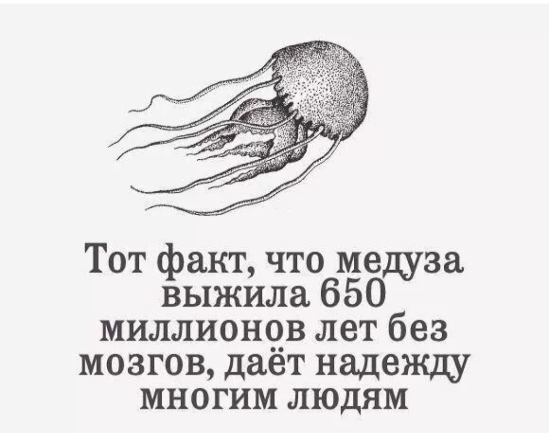 Картинка из интернета