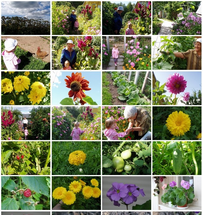 Фотографии в моём первом альбоме группы "Наш сад". Апрель 2010 года.