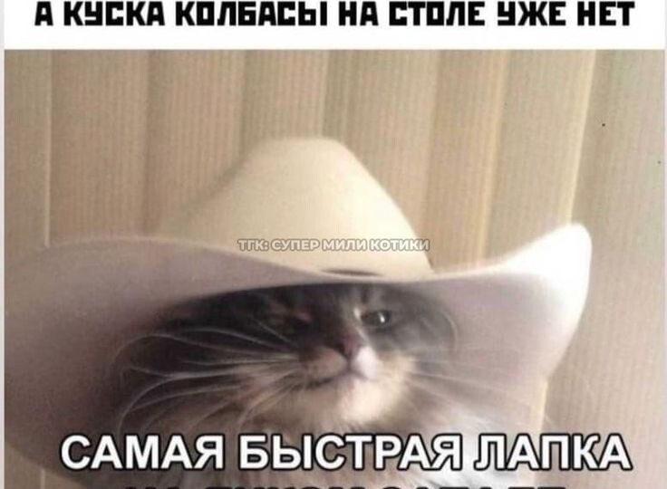 Мяу-позитивчик