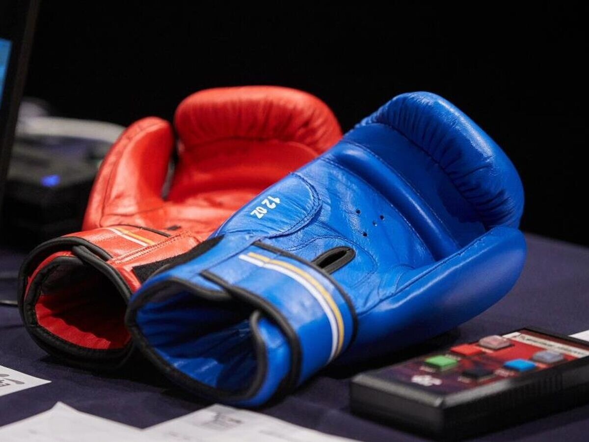    Боксерские перчатки | © Фото : соц.сети