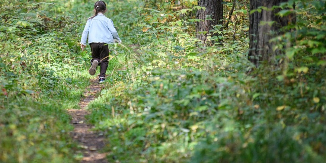 На Кубани третий день ищут школьницу, след которой оборвался у леса