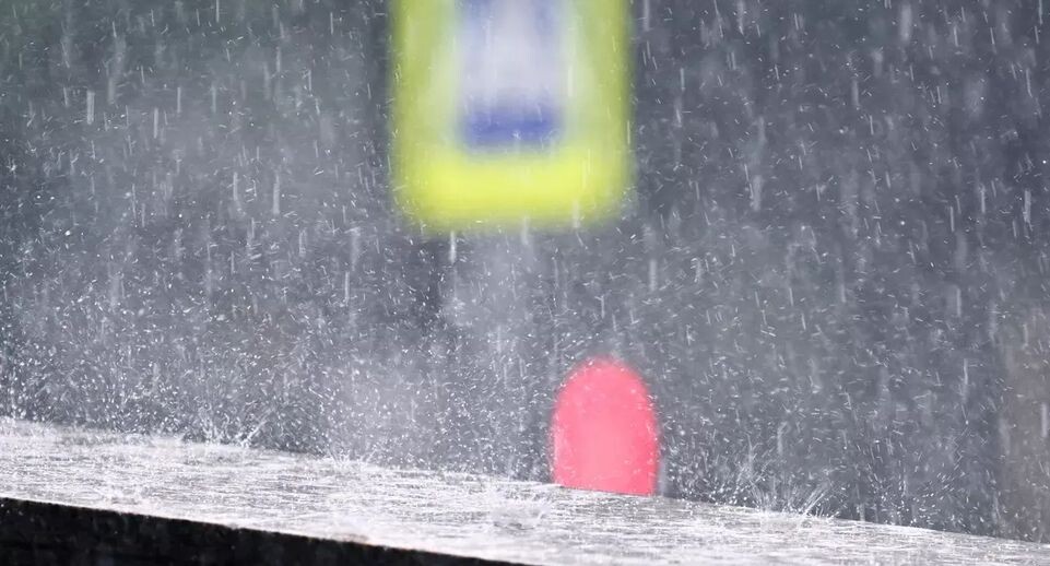    РИА «Новости»