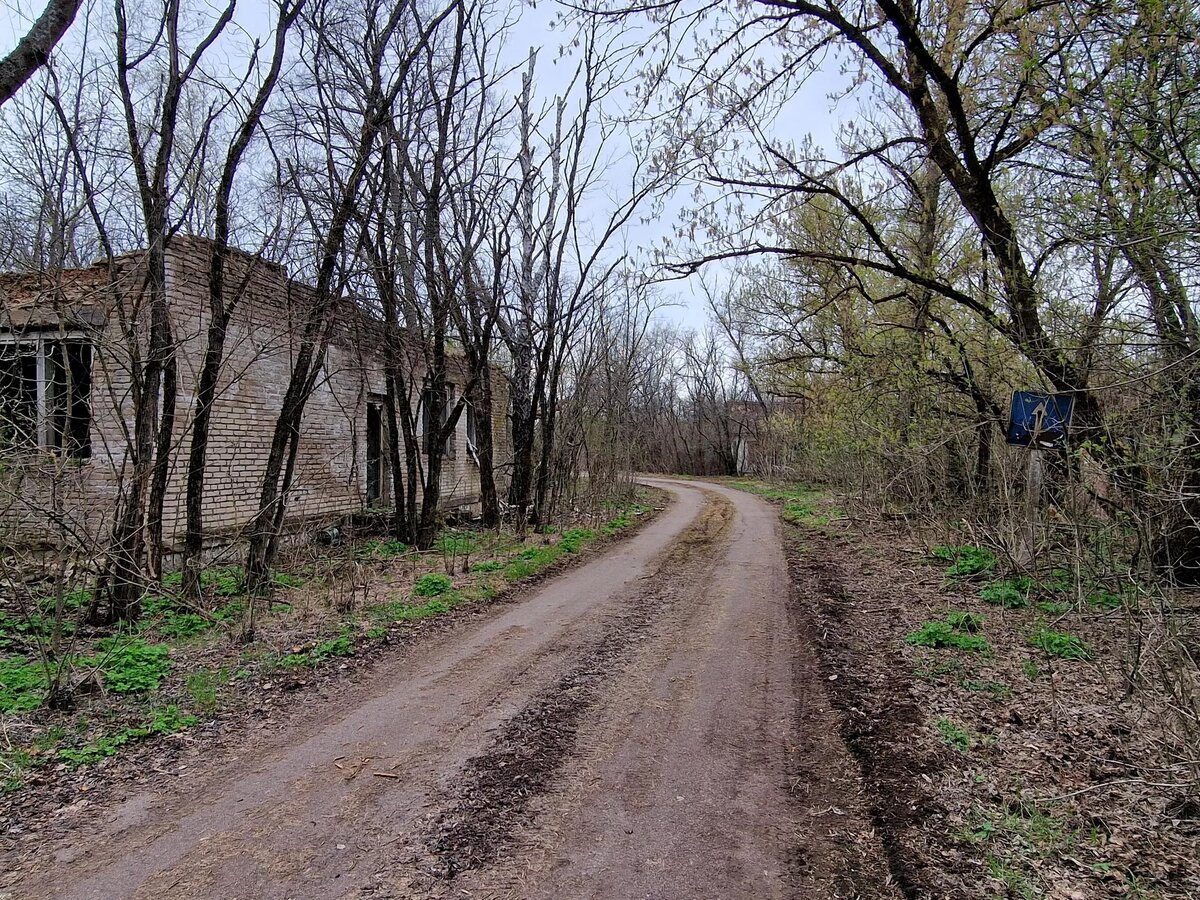 Сельская дорога в зоне отчуждения
© Sputnik / Александр Жибуль