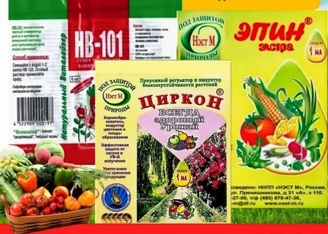 Антистрессовые препараты — наши лучшие друзья в огороде. Они не заменят удобрения и не вылечат запущенную болезнь, но в критической ситуации могут спасти то, что уже списали со счетов.