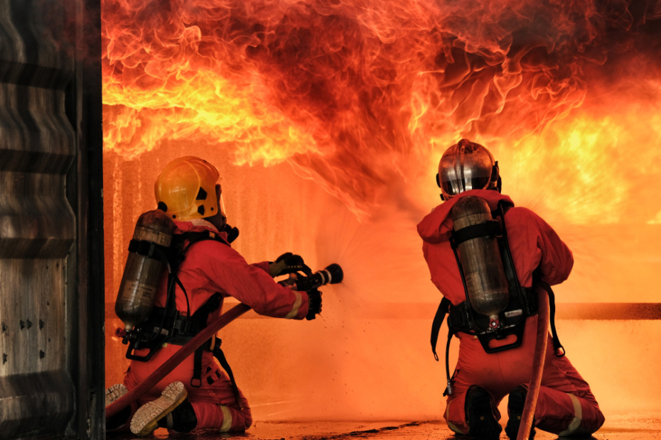    Shutterstock/FOTODOM