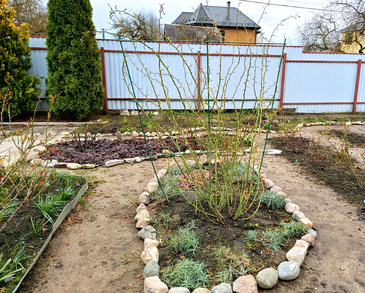 Фламментанц. Фото автора 