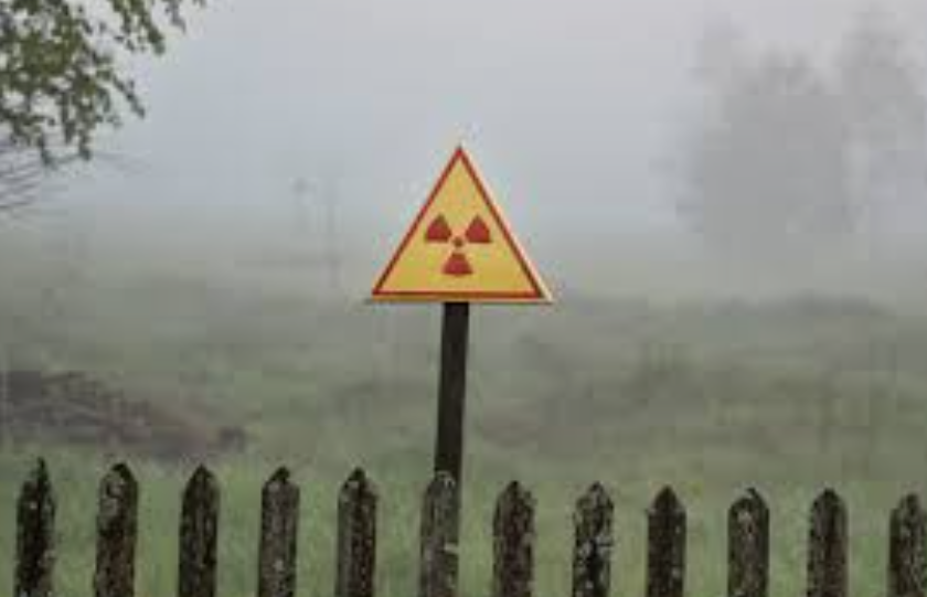    Источник фото: "Комсомольская правда - Владивосток"