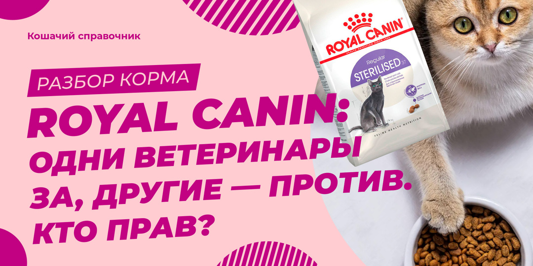 Royal Canin: одни ветеринары хвалят, другие — против. Кто прав?
