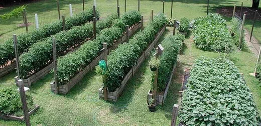 Картинка из интернета