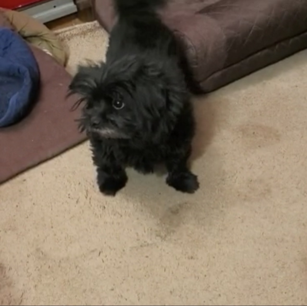 Я на посту 😁