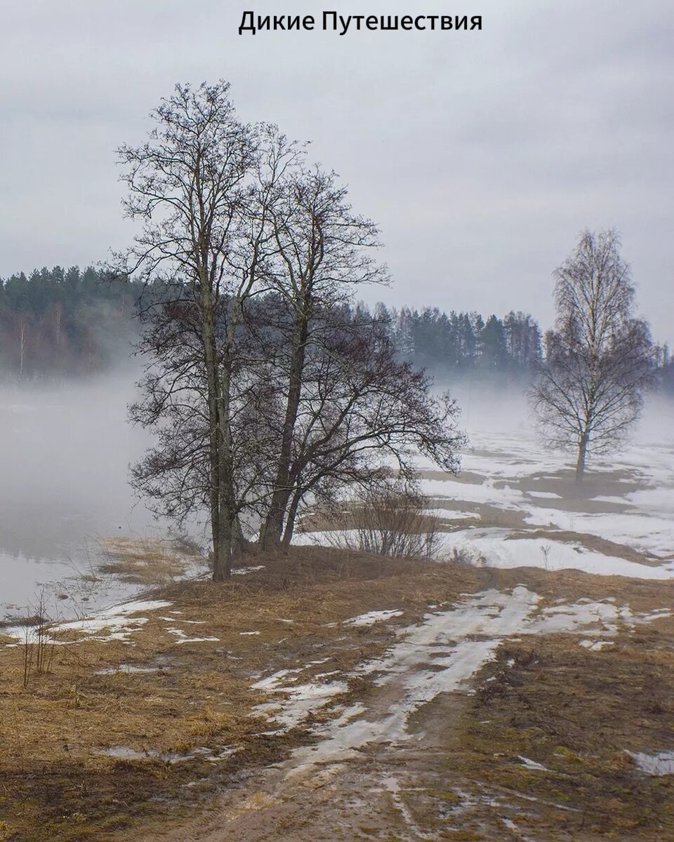 Весенний хайк: как выжить в распутицу, не промокнуть и не принести домой клеща.