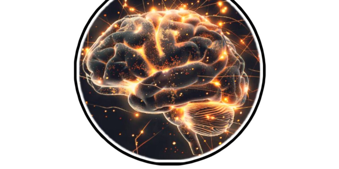 Нейрофизиология опыта или почему во взрослом возрасте так сложно изменить поведение