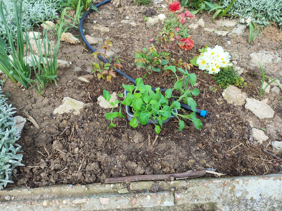 Пока в ячейках
