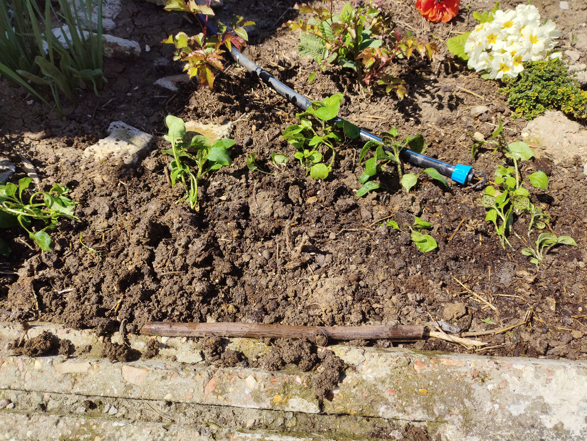 И уже в земле