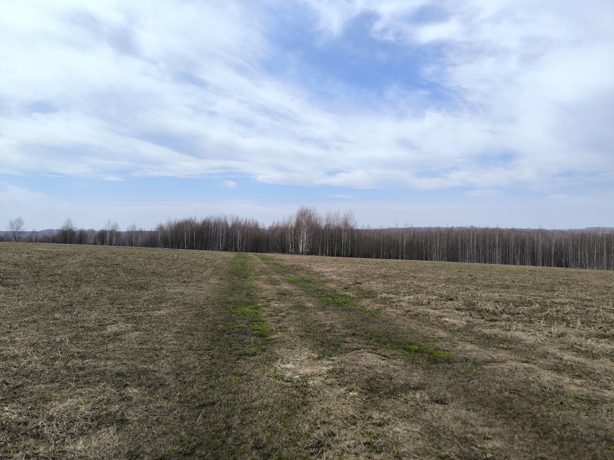 Дорожка просохла