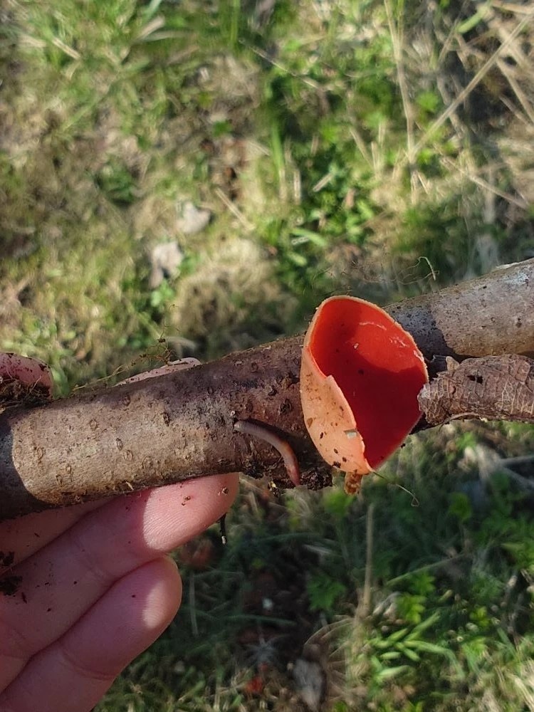 с пассажиром