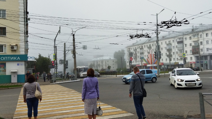    Фото progorod43.ru
