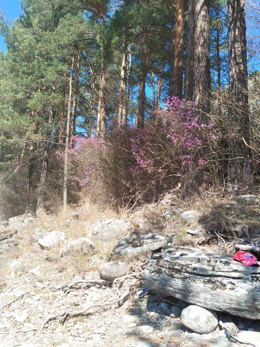 Фото Н. Ск-ко
