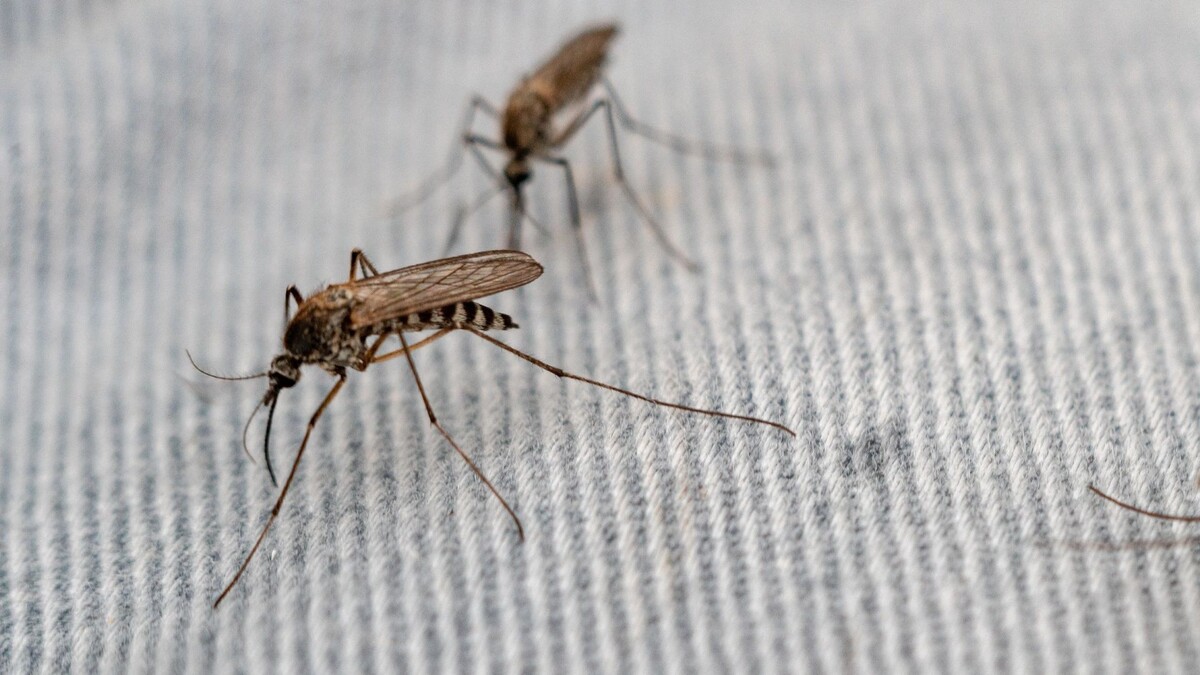    Фото: Сергей Зубков/«Ямал-Медиа»