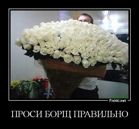 Я.Картинки