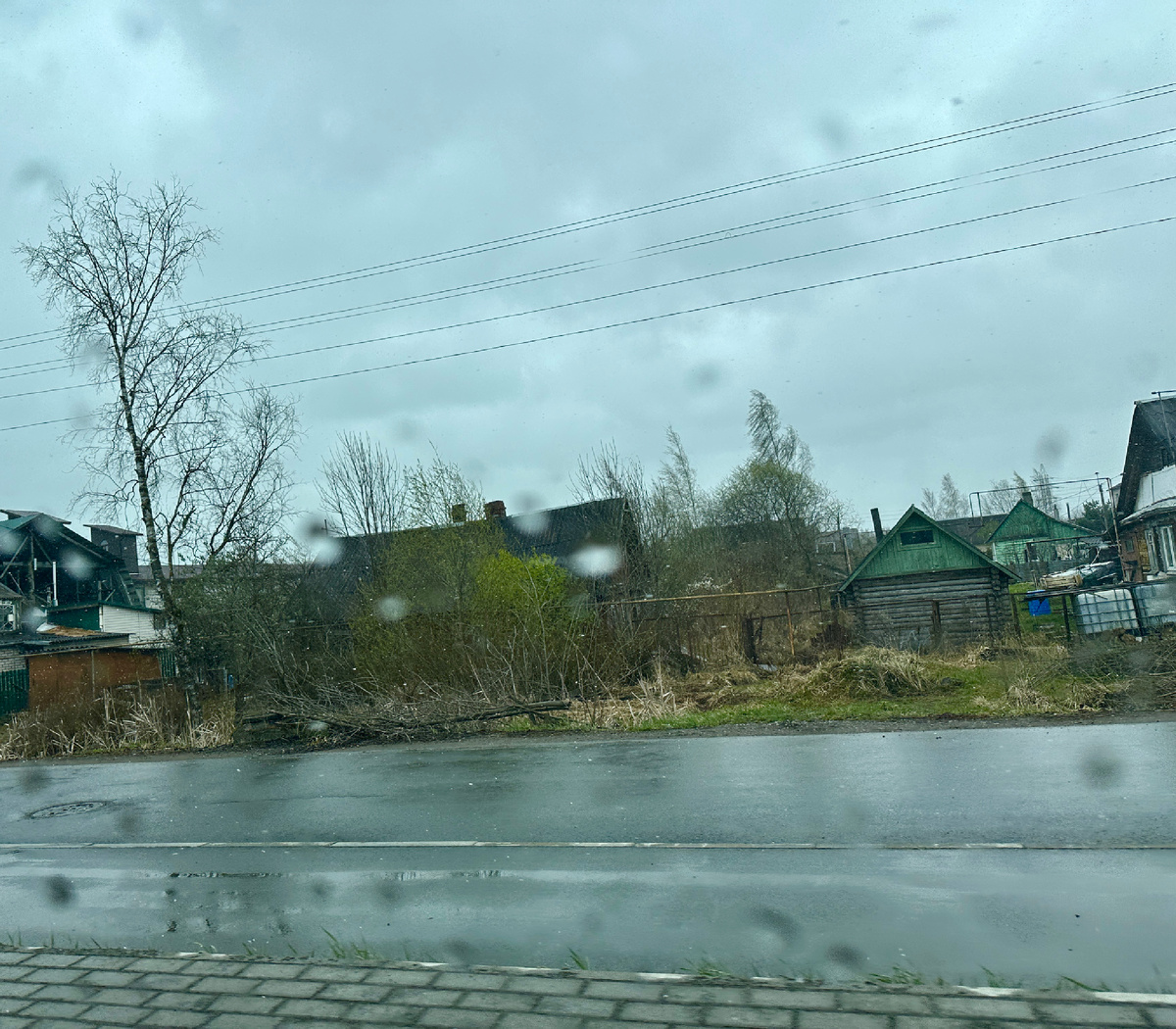 Фотография сделана в Пскове на обратном пути 