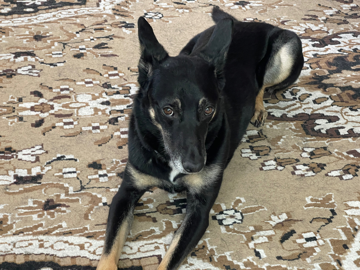 Ну там у нее такое произошло...