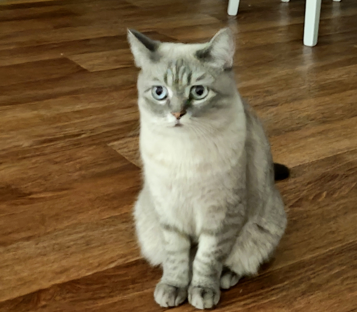 Моя красавица Софья Васильевна 😻❤️