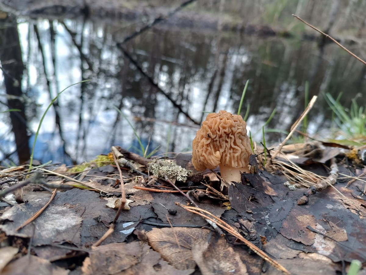 Фото Ольги Чикиревой