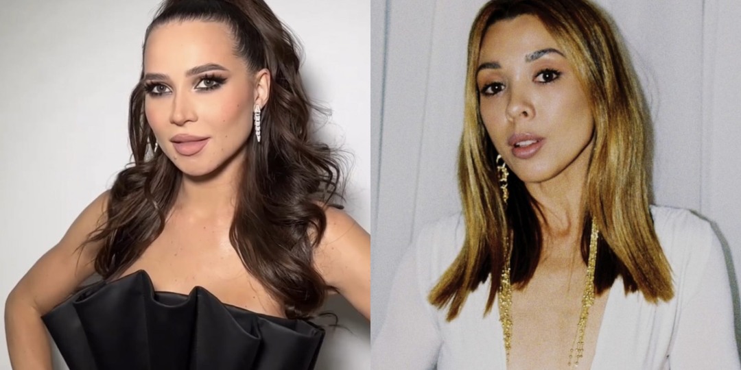 Лерчек хочет отсудить 2,4 млн у Эльвиры Янковской, после скандала с которой у неё начались проблемы