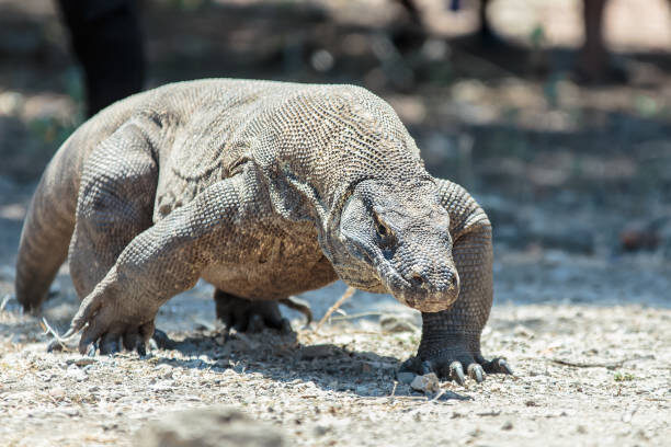 Источник: stockphoto.com