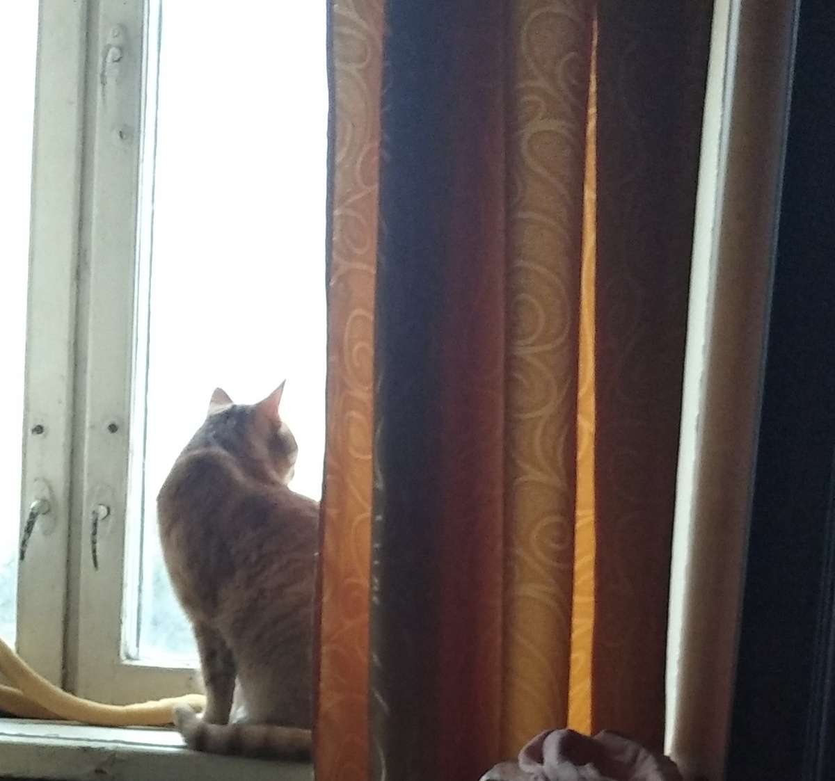 личное фото. 