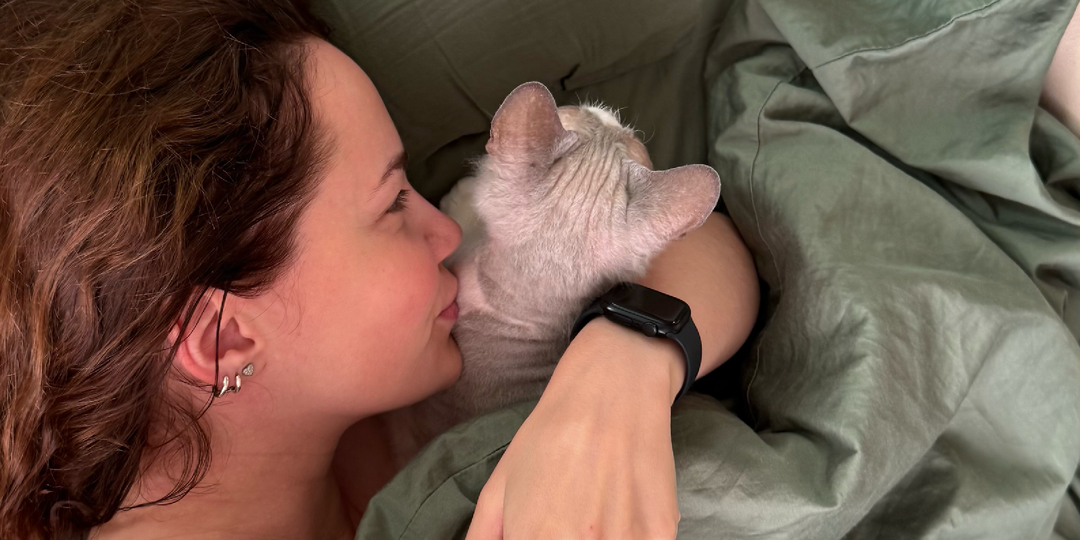 С кем мы оставляем кошку, когда уезжаем: вы спрашивали – отвечаю