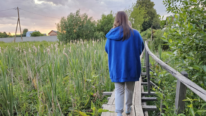    Фото progorod43.ru