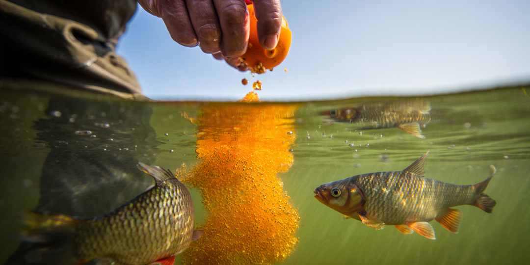 Народный рецепт активатора для безклевья - спасает любую рыбалку