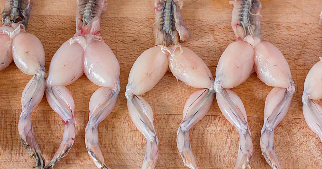 Лягушки и улитки: зачем их стали есть, и почему они стали деликатесом. Окунаемся в историю