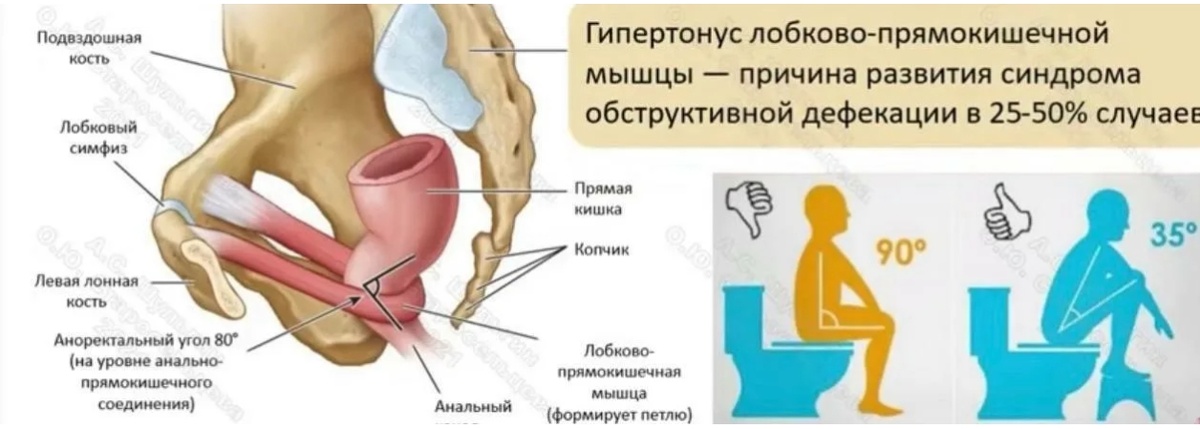 Очень полезная поза! 