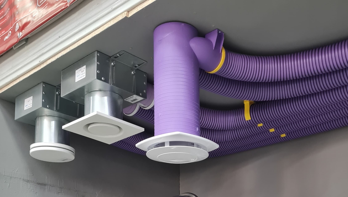 Введение (фото из интернета)